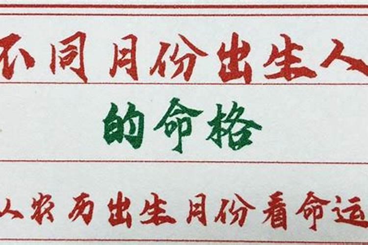 今年属兔子的是什么运势如何