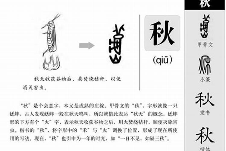 秋字在五行属什么属性