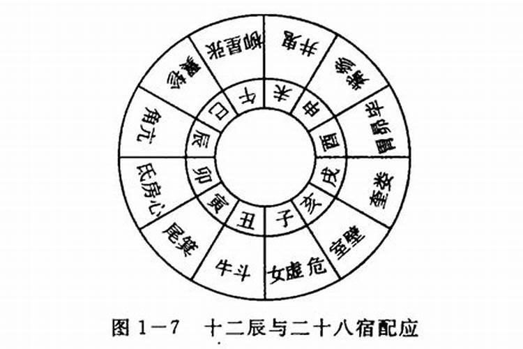 天干地支的关系详解