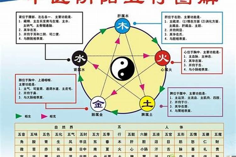 中医对应的阴阳五行