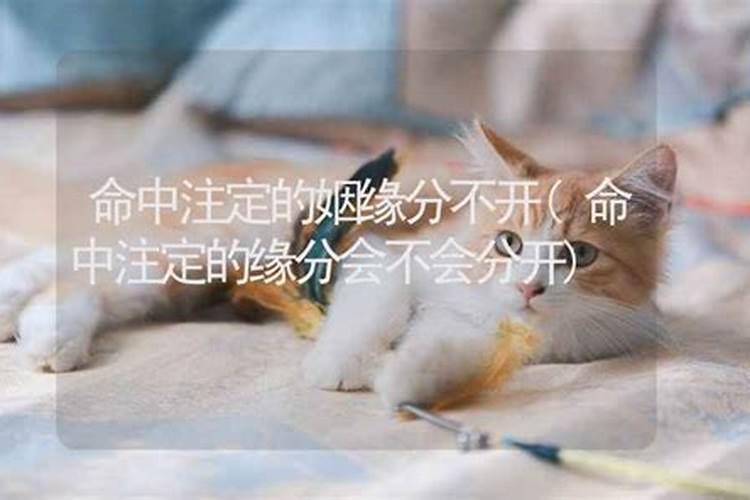 命中注定的姻缘可以改变吗