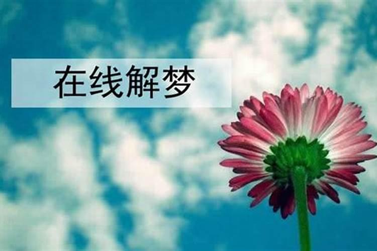 梦到染头发是什么意思