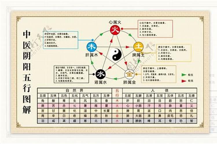 中医阴阳五行表