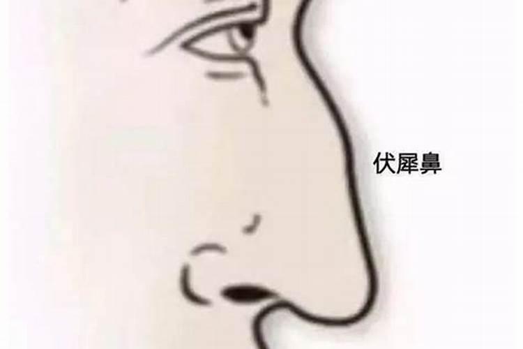 聚财鼻和富贵鼻