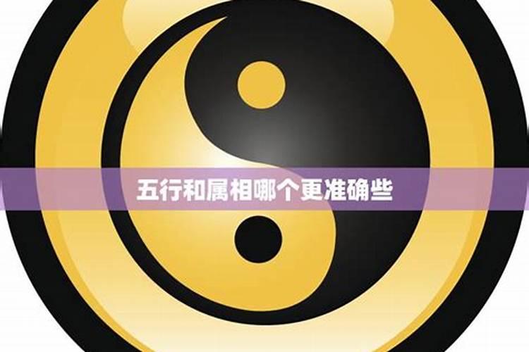 五行八字合婚与属相合婚哪个准