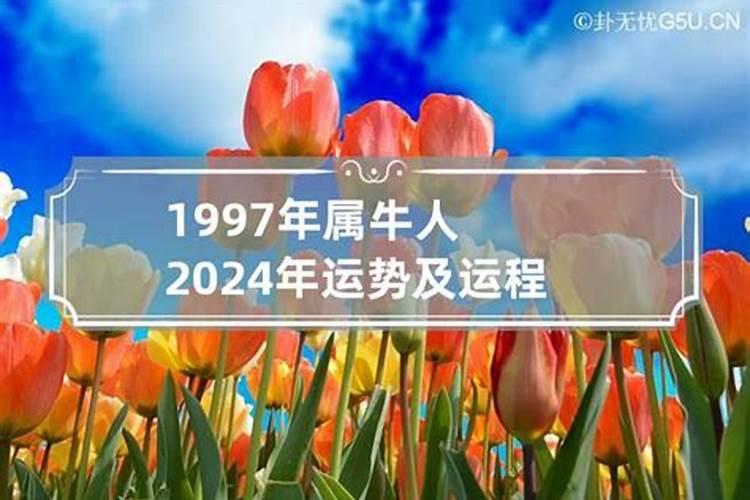 1997年属牛明年运势