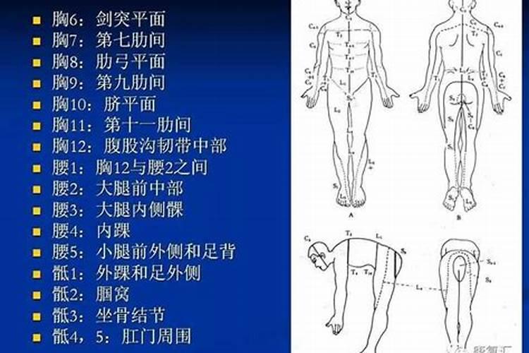 体检身体一般必须体检哪些项目