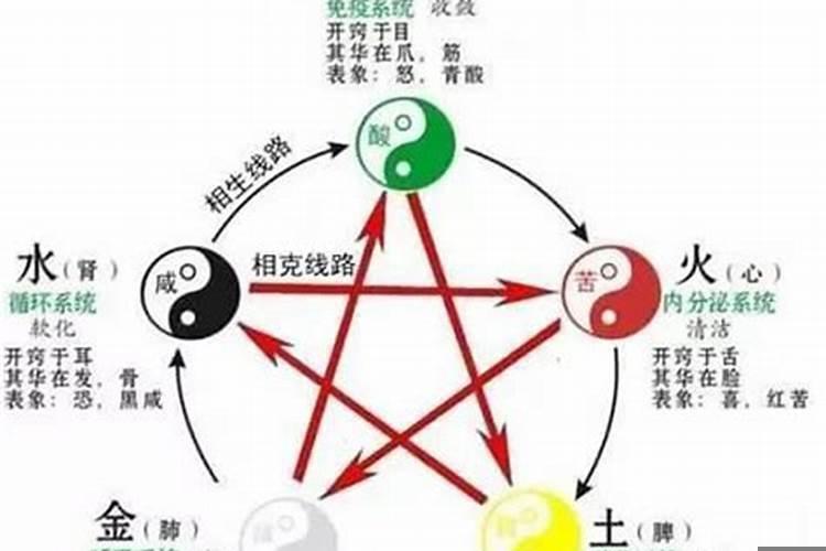 五行对应的关系