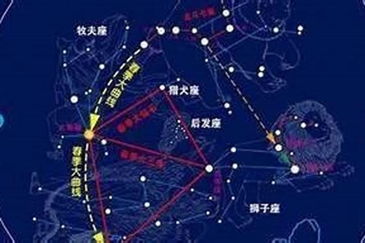 算命忌星是什么意思