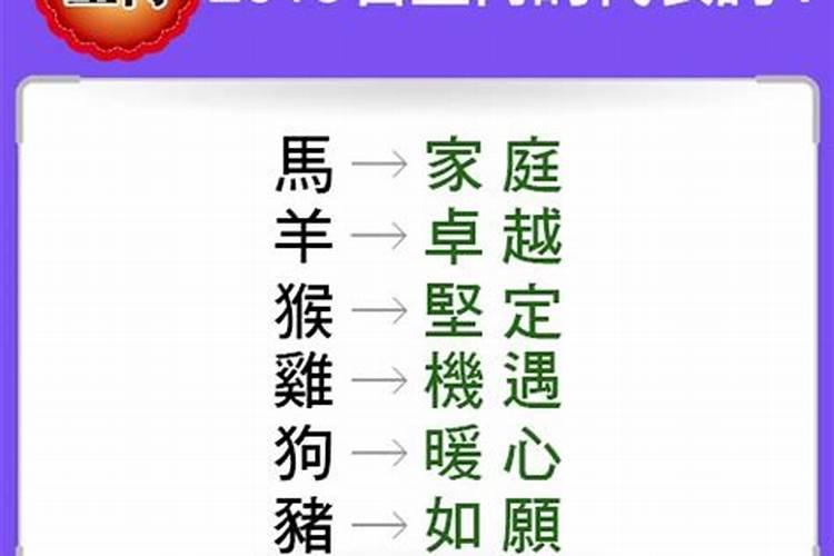 宝字解作什么生肖