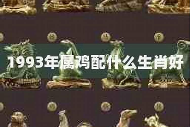 1995的和什么属相婚配