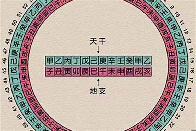 八字大运的天干地支怎么看