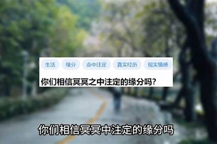 你们相信缘分么