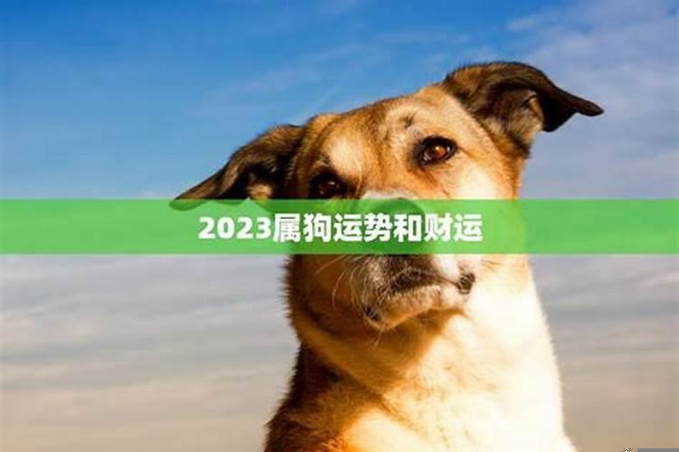 2023属狗的腊月运势