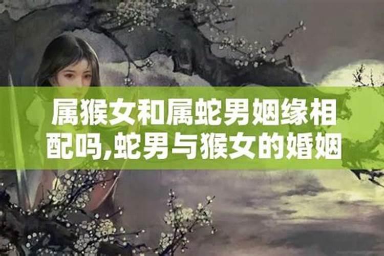 属猴女与属蛇男配吗