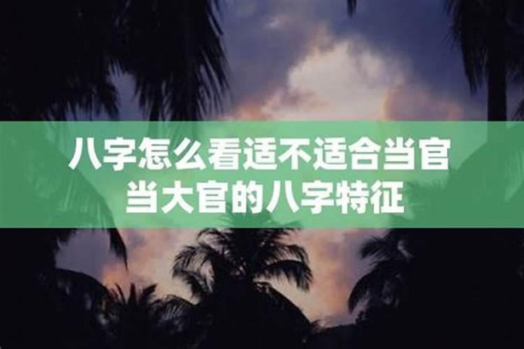 不适合做官的八字特征