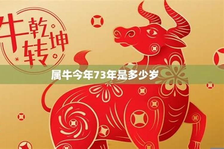 属牛今年分别几岁