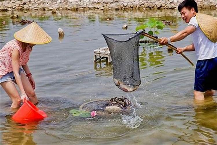 梦到鱼塘抓鱼是什么意思