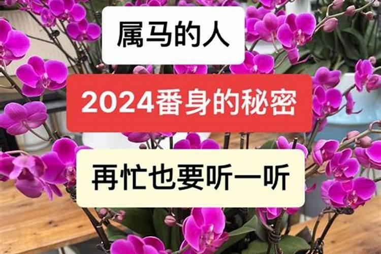 2023属兔下半年运势女