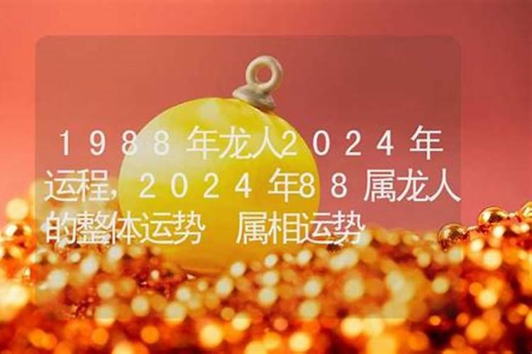 2023属鼠的今年多大岁数了