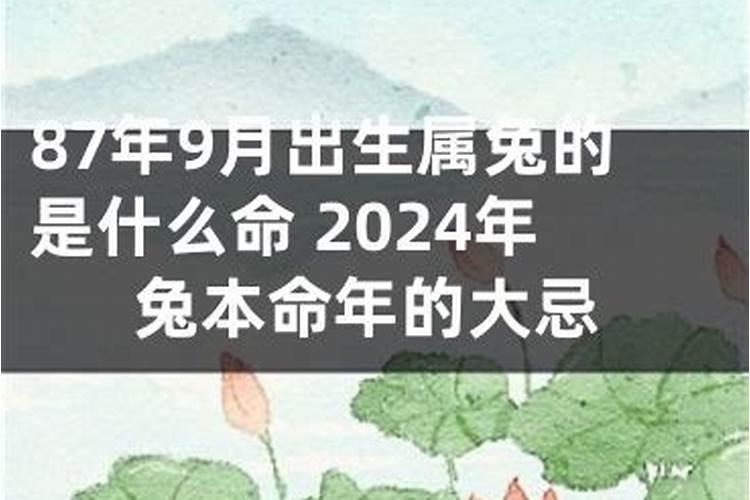 梦见狗死了我一直哭