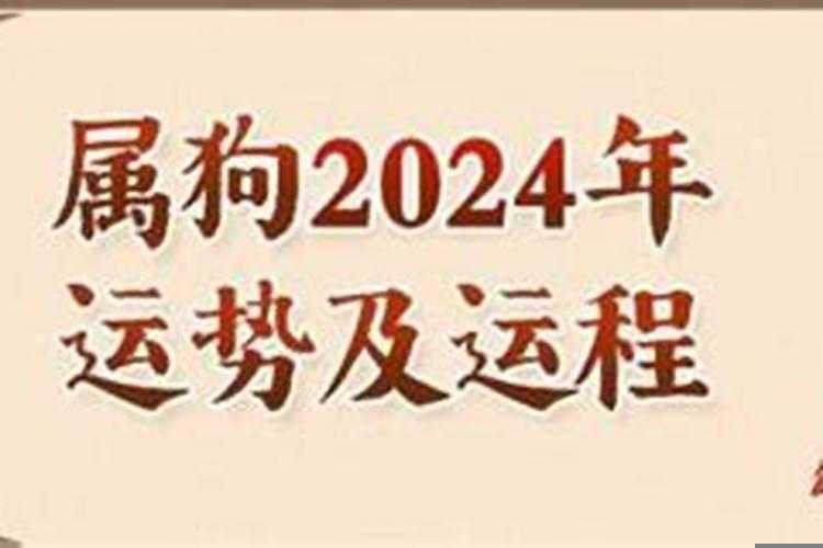 1999年2020年属兔人的全年运势