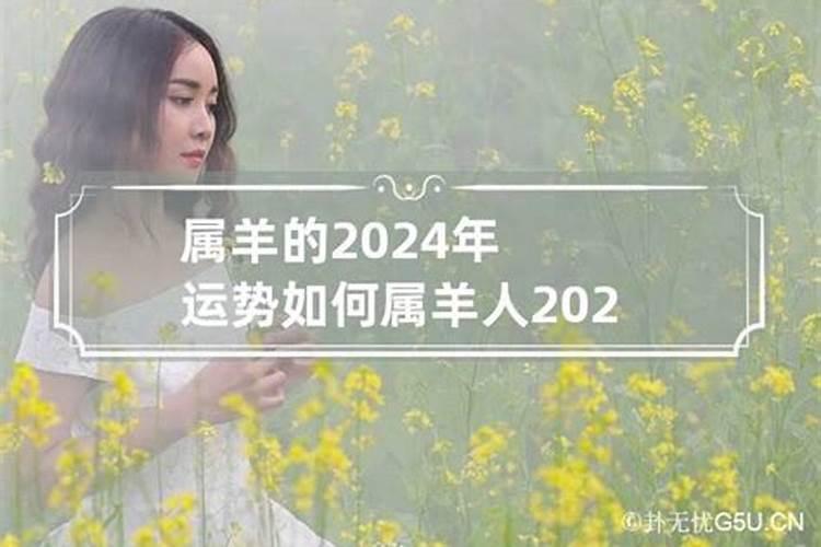 2023年属马十一月运势如何