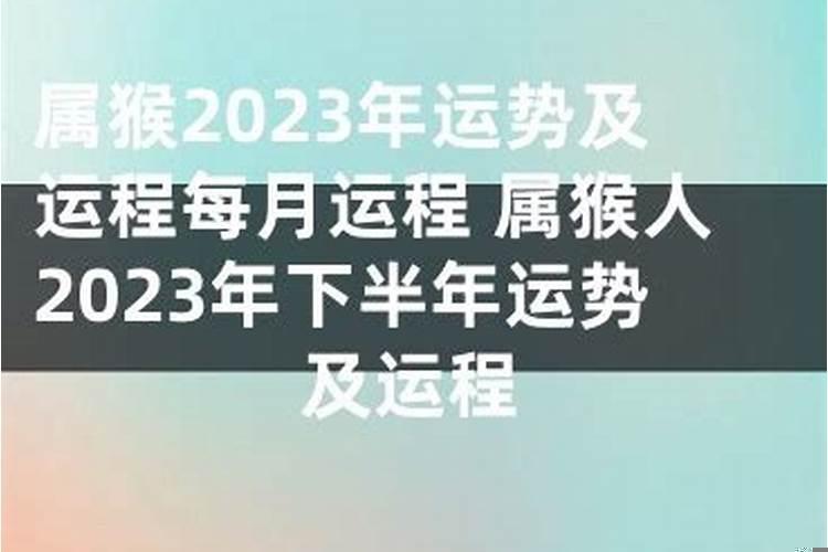 13岁的生肖是什么