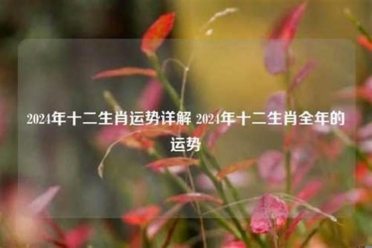 女命大运劫财坐正官好吗