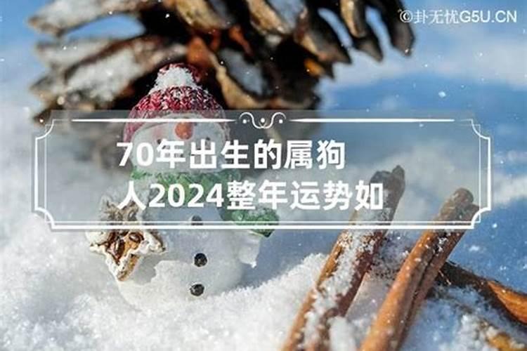 2027年属什么生肖运气好