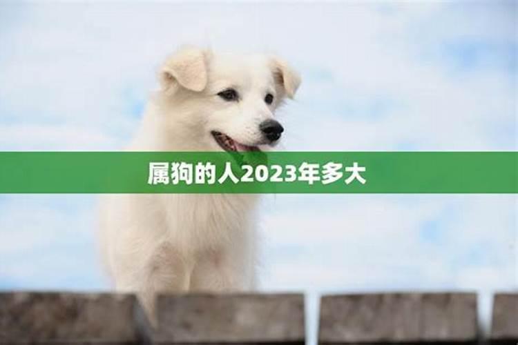 2009年属牛的是什么牛年