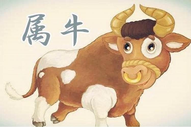 生辰八字推命卦