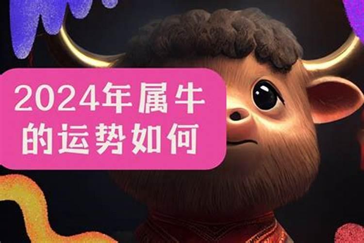 属牛今年带什么会运气好