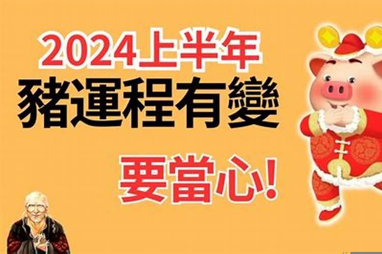 2020属猪的虚岁今年多大了