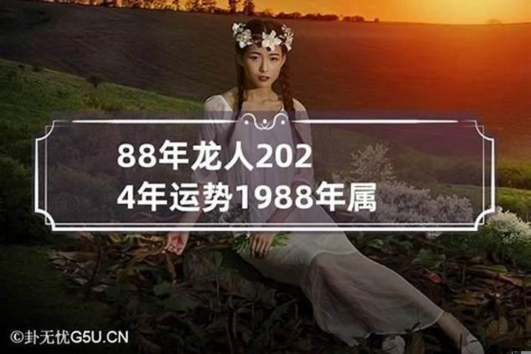 2023年生肖狗女全年运势