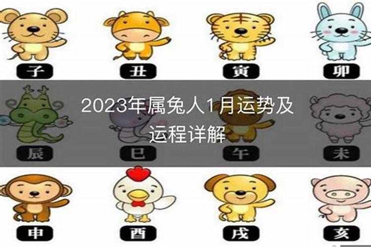 90年属马2023年运势及运程详解