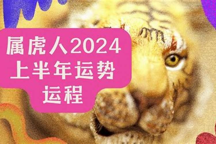 生肖马2023年冲太岁如何解