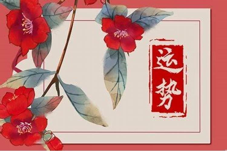 2月3日什么星座是什么