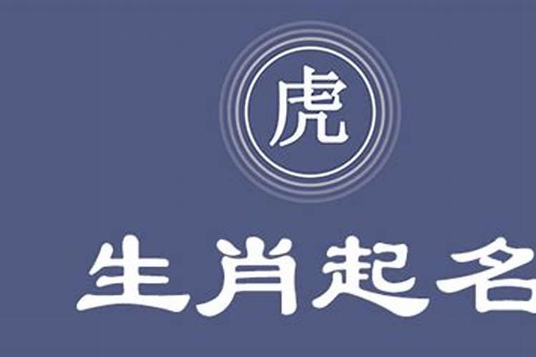 属马的取名字宜用字