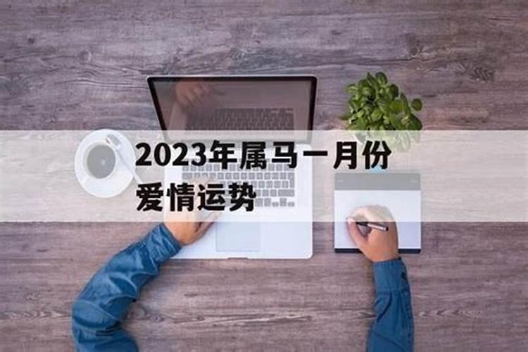 麦玲玲2022年运程十二生肖运程属虎