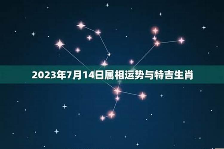 冬至南方习俗青田