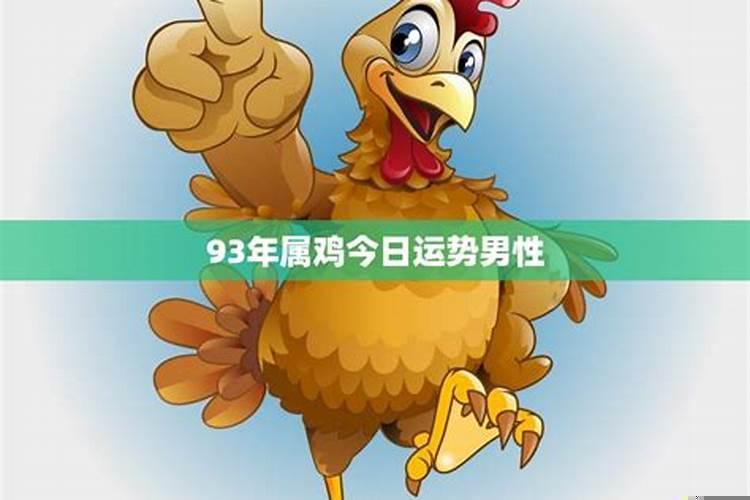 93生肖鸡运势怎么样