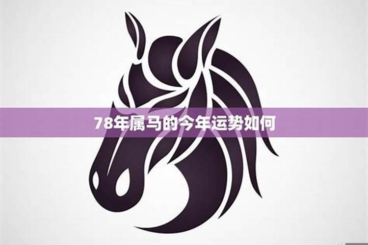 梦见我咬猫是什么意思周公解梦