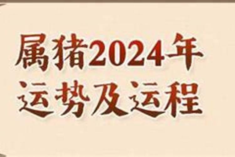 2023鼠年什么犯太岁