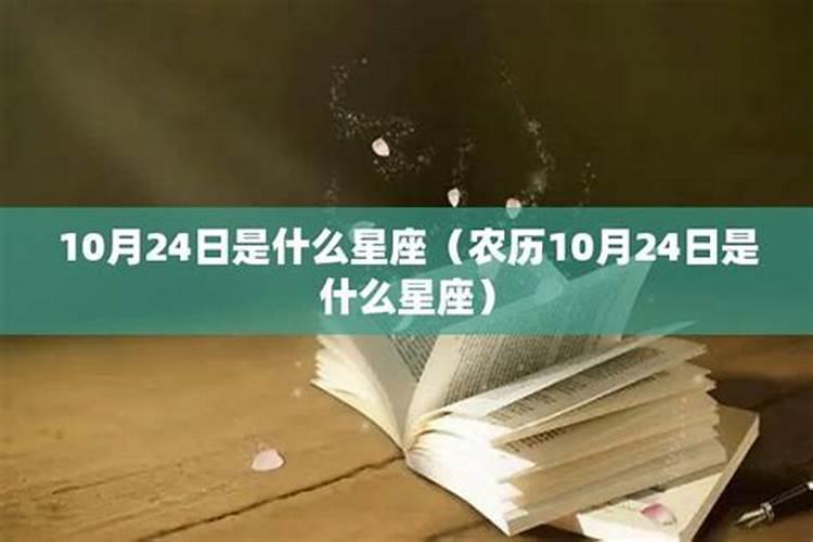 2004年11月24日是什么星座