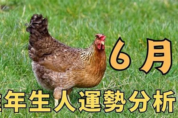 八字中什么看姻缘