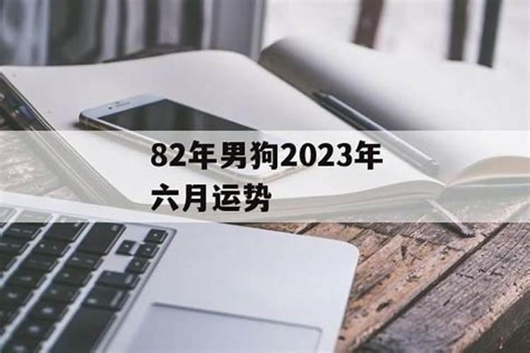 生肖兔往2023年运势