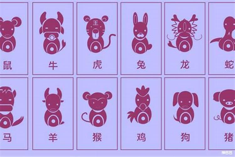 散字猜一生肖是什么