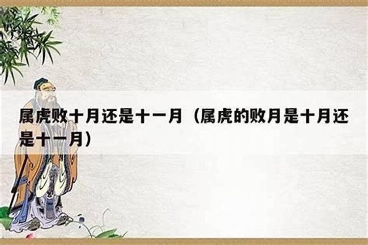 星座11月16日是什么星座农历