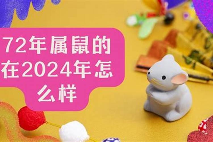 属兔的2024年多大